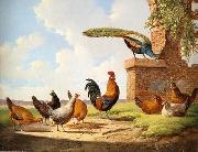 unknow artist Cocks 058 china oil painting reproduction